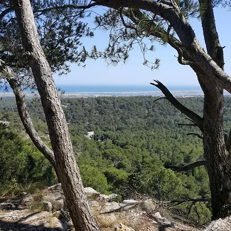 Apartament Les Sables De Pami Narbona